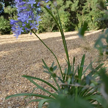 Le Domaine D'euphony