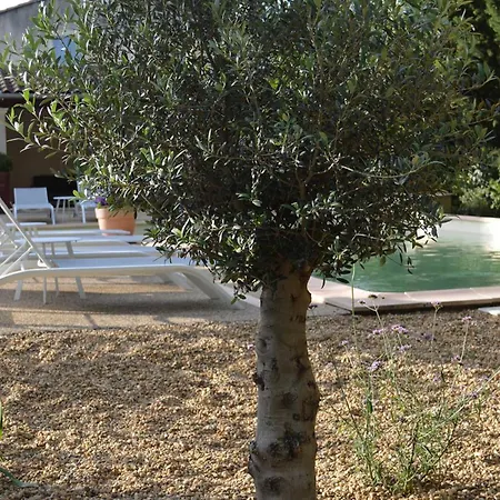 Le Domaine D'euphony Hotel Monteux